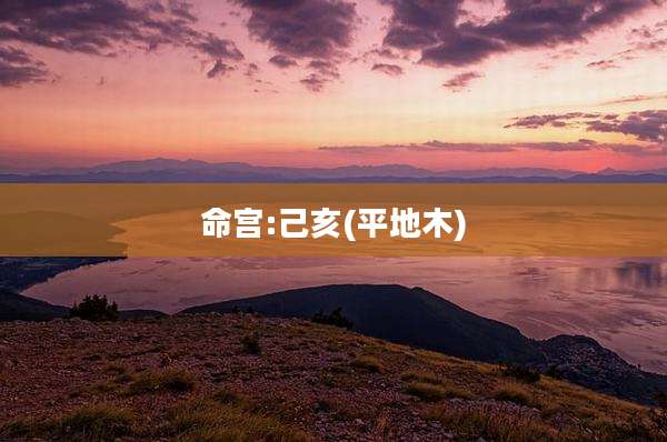 命宫:己亥(平地木)