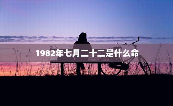 1982年七月二十二是什么命