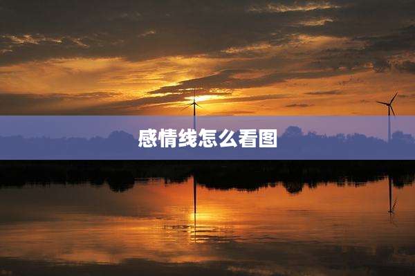 感情线怎么看图