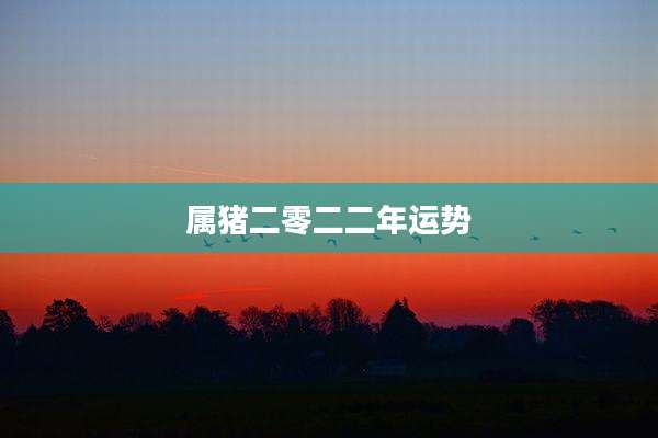 属猪二零二二年运势