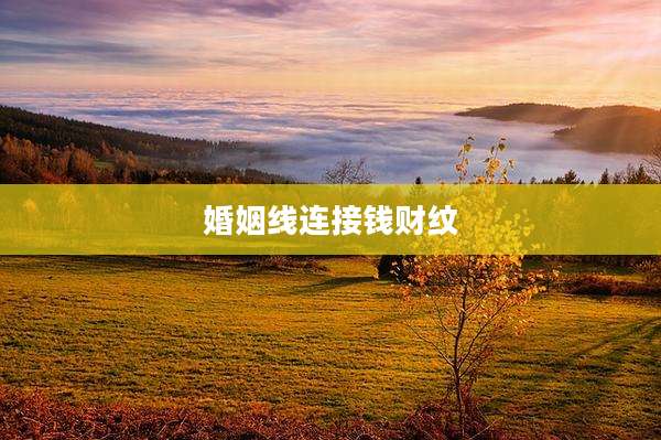 婚姻线连接钱财纹