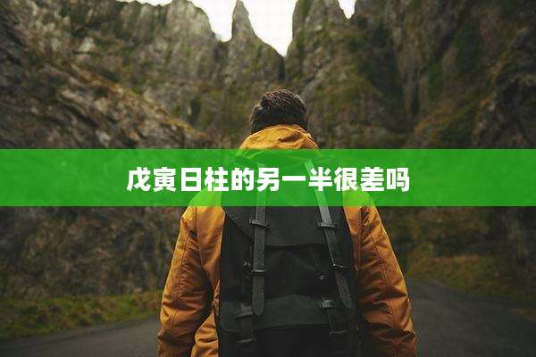 戊寅日柱的另一半很差吗