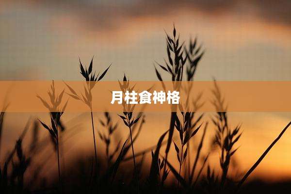 月柱食神格