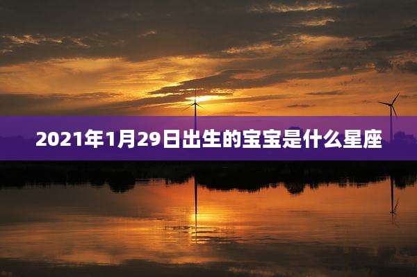 2021年1月29日出生的宝宝是什么星座
