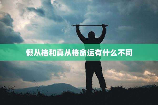 假从格和真从格命运有什么不同