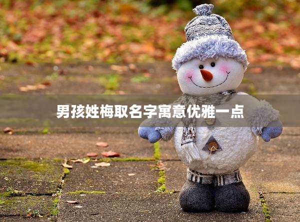 男孩姓梅取名字寓意优雅一点