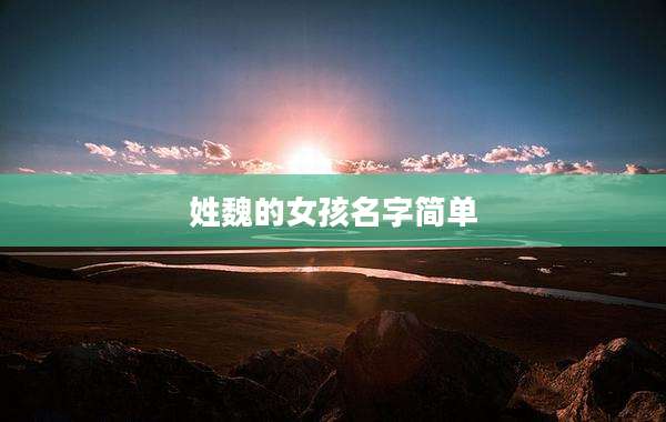 姓魏的女孩名字简单