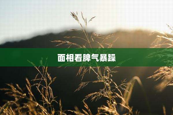 面相看脾气暴躁