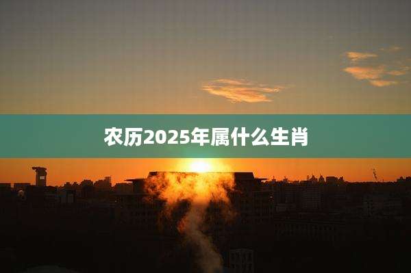 农历2025年属什么生肖