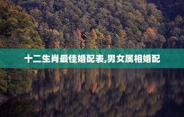十二生肖最佳婚配表,男女属相婚配