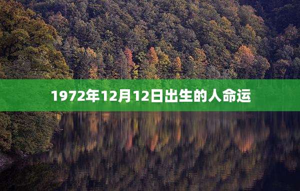 1972年12月12日出生的人命运
