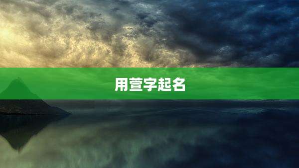 用萱字起名