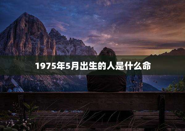 1975年5月出生的人是什么命