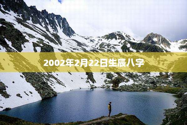 2002年2月22日生辰八字