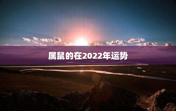 属鼠的在2022年运势
