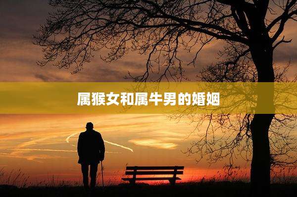 属猴女和属牛男的婚姻
