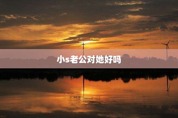 小s老公对她好吗