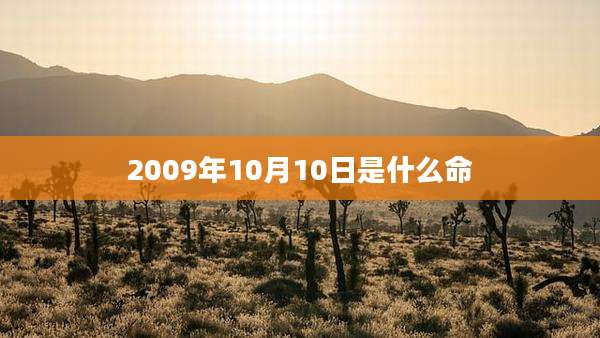 2009年10月10日是什么命