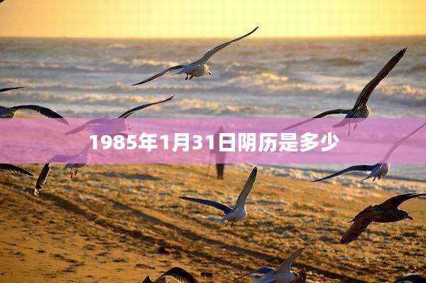 1985年1月31日阴历是多少