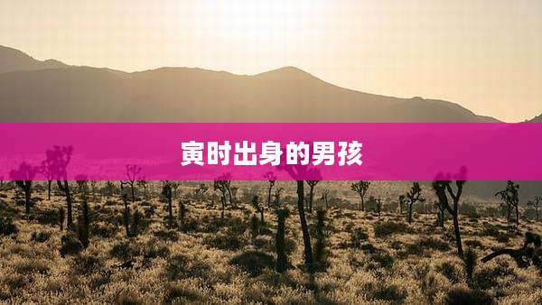 寅时出身的男孩