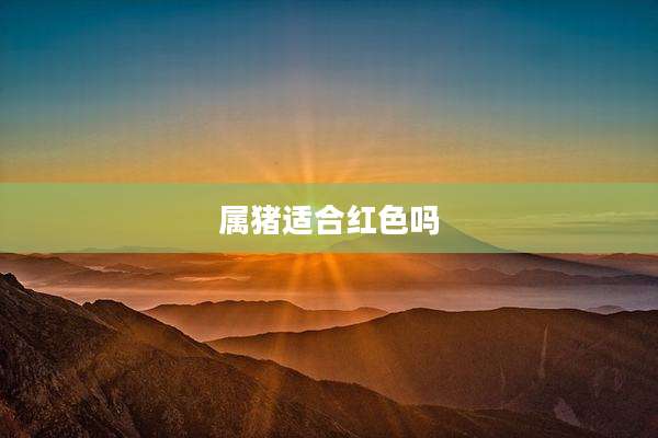 属猪适合红色吗