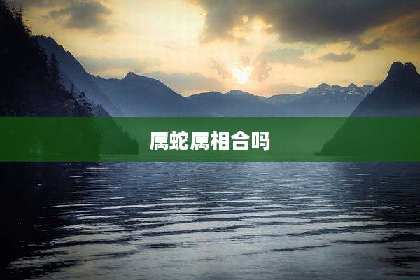 属蛇属相合吗