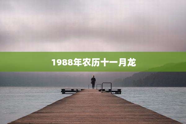 1988年农历十一月龙