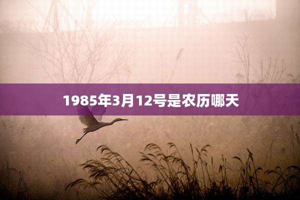 1985年3月12号是农历哪天