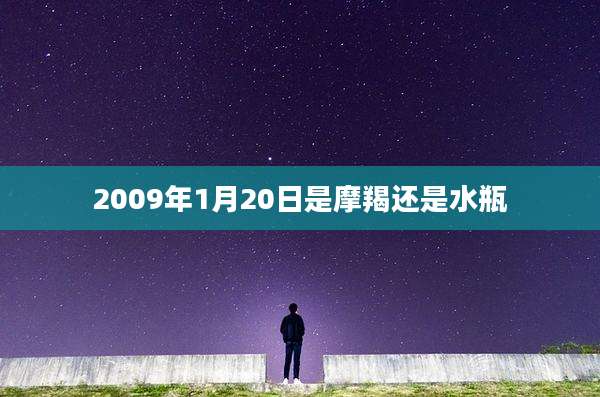 2009年1月20日是摩羯还是水瓶