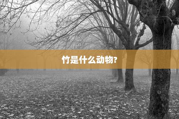 竹是什么动物?