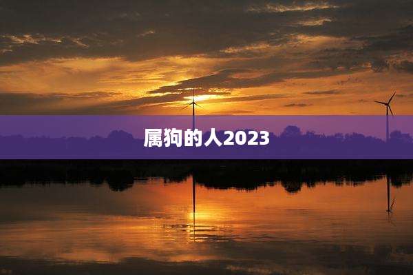 属狗的人2023
