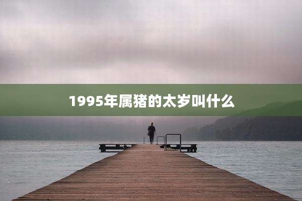 1995年属猪的太岁叫什么