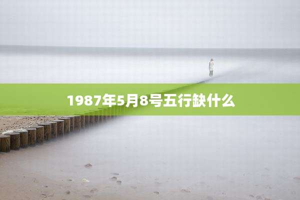 1987年5月8号五行缺什么
