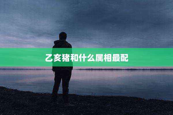 乙亥猪和什么属相最配