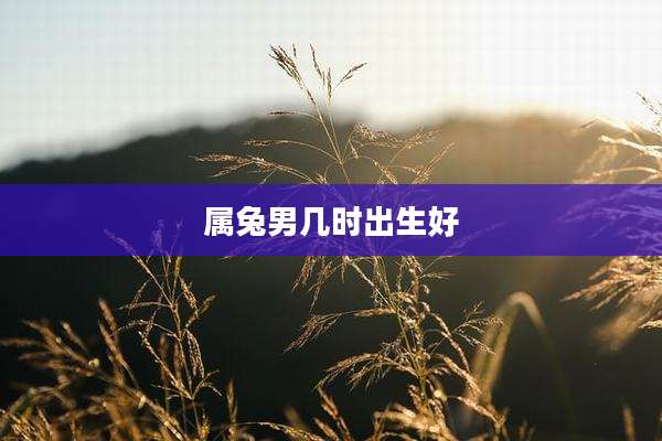 属兔男几时出生好