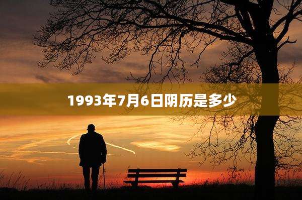 1993年7月6日阴历是多少
