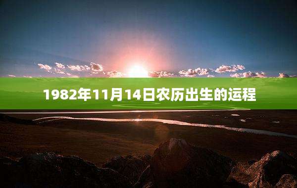 1982年11月14日农历出生的运程