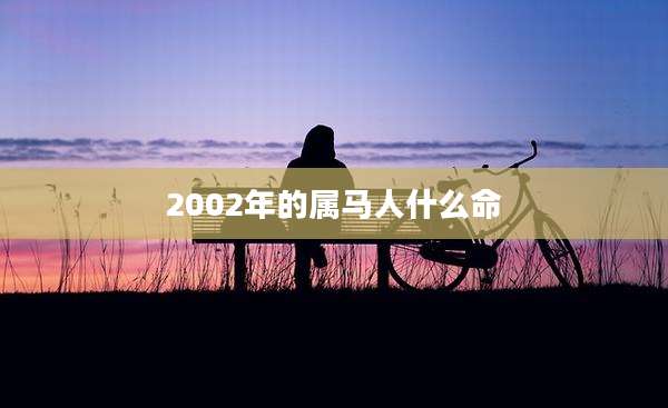 2002年的属马人什么命