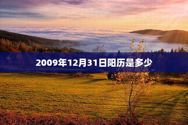 2009年12月31日阳历是多少