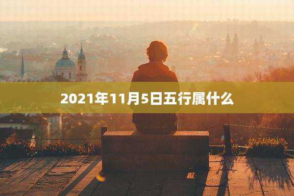 2021年11月5日五行属什么