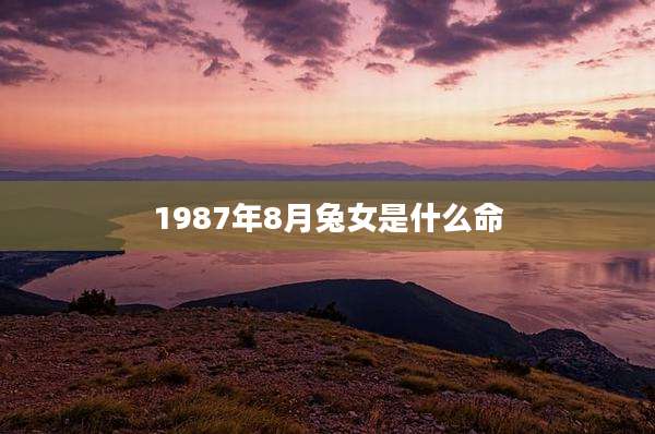 1987年8月兔女是什么命