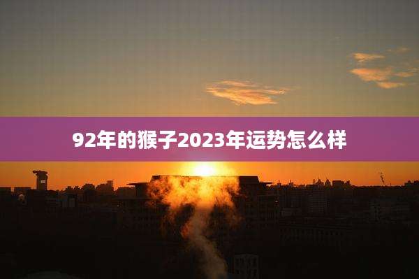 92年的猴子2023年运势怎么样