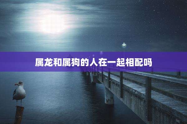 属龙和属狗的人在一起相配吗