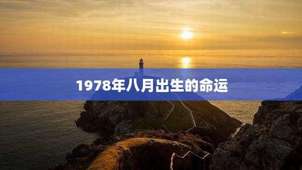 1978年八月出生的命运