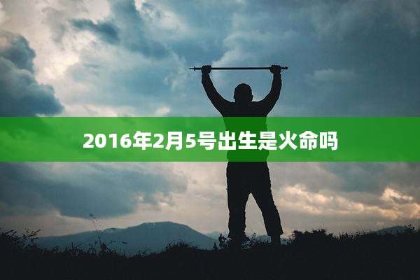 2016年2月5号出生是火命吗