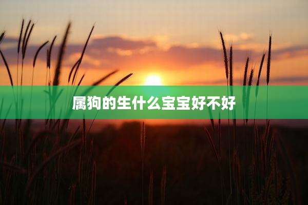 属狗的生什么宝宝好不好