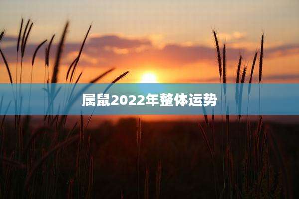 属鼠2022年整体运势