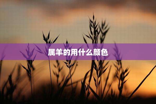 属羊的用什么颜色
