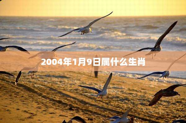2004年1月9日属什么生肖