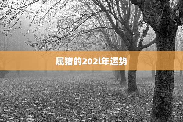 属猪的202l年运势